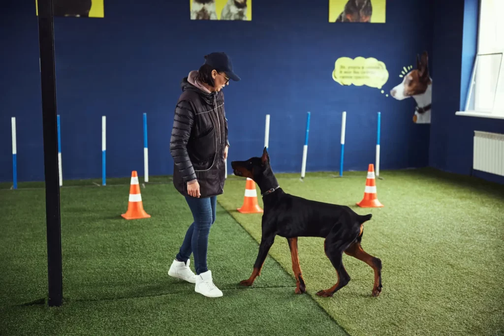 level one dog trainer with doberman
