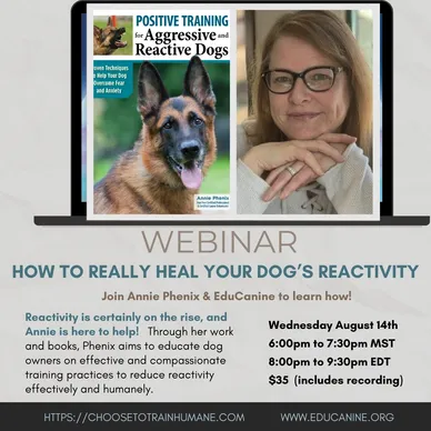 How to Really Heal Your Dog's Reactivity