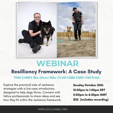 Resiliency Framework A Case Study