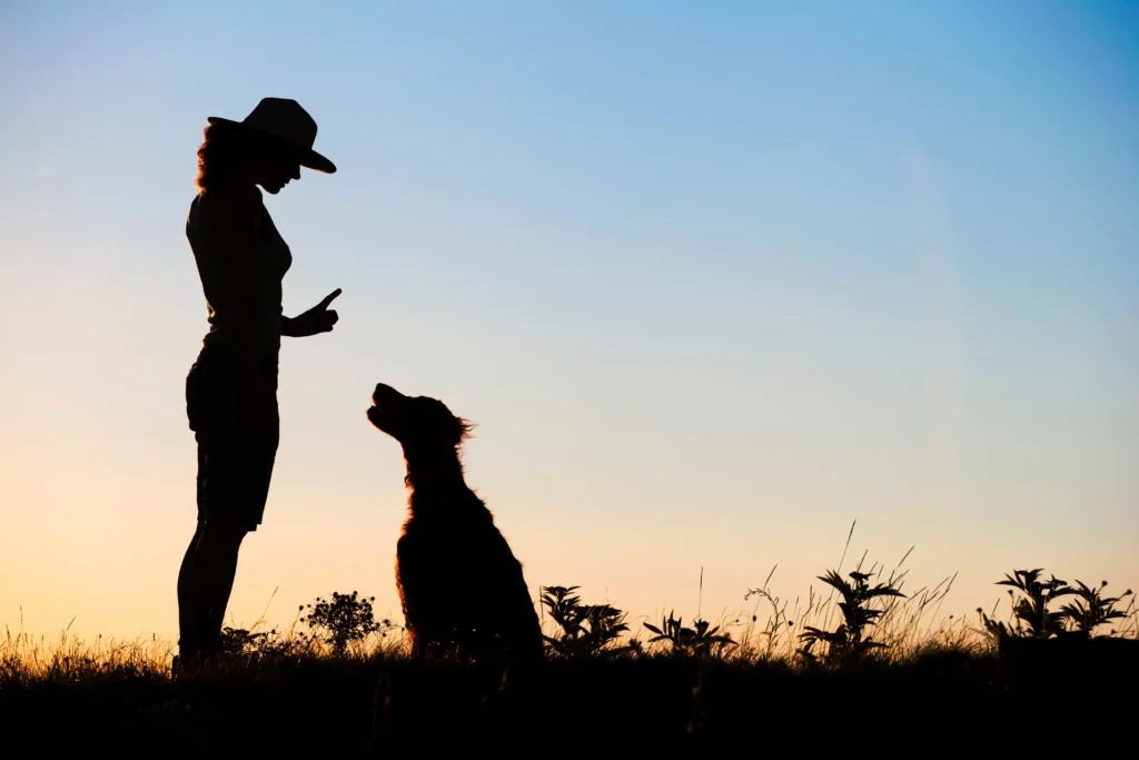 Silhouette of a female as training her dog. Pet training concept