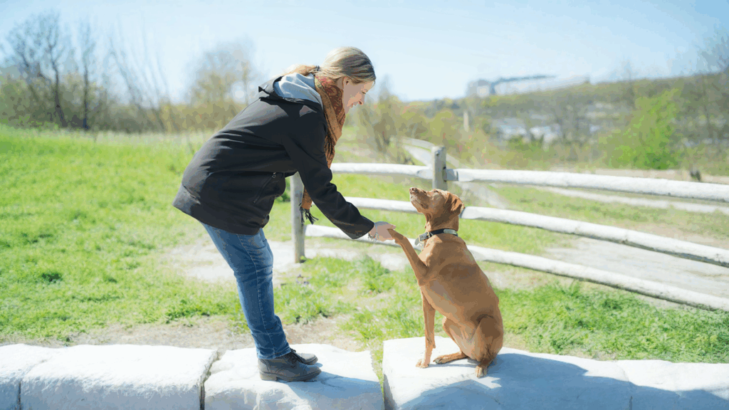 andrea and dog in park expanded