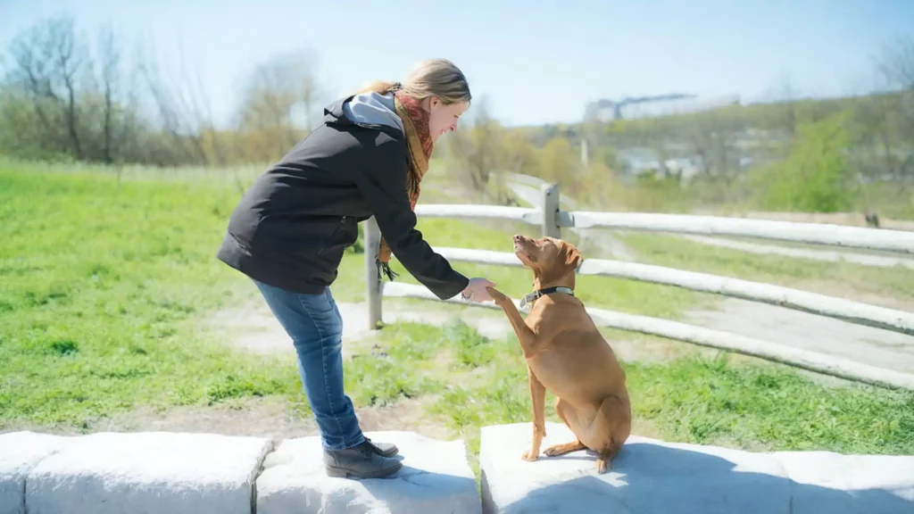 andrea and dog in park expanded