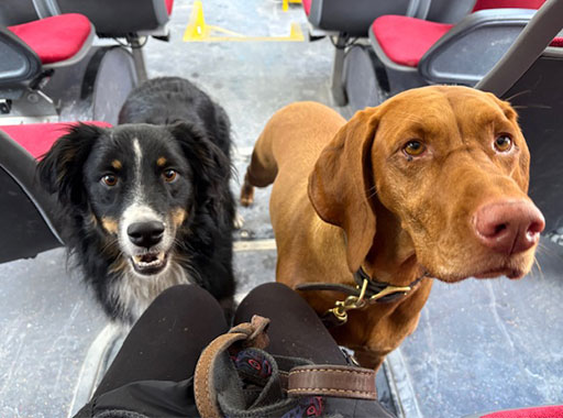 Duka and Gals training on the TTC